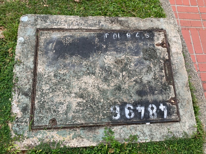 Telecom chamber cover set in a grass verge